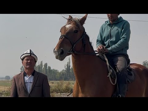 Видео: Дыйкандын Аты тел:+996-705-290-866 11 октября 2025 г.