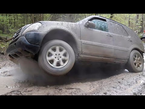 Видео: ML W163 Offroad: Лесная прогулка / forest ride