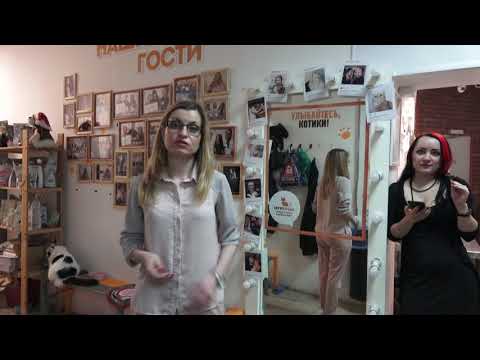 Видео: "Приют" Муркоша. Жестокость и неадекват сотрудников этого заведения.