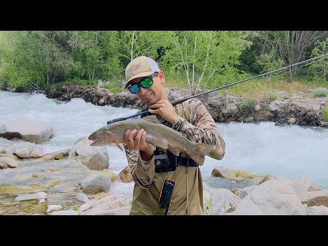 Видео: Catching wild rainbow trout in Uzbekistan. Ловля форели  и вкусное блюдо из форели в Узбекистане.