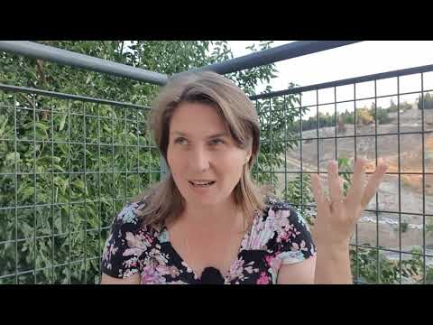 Видео: ОБ ИСЦЕЛЕНИИ В СУББОТУ И УЗКОМ ПУТИ (Лк. 13:10-31)