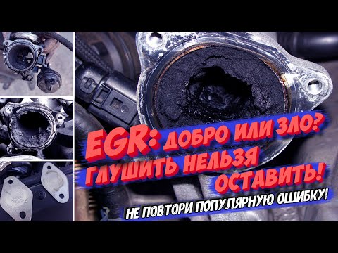 Видео: EGR — добро или зло? Глушить нельзя оставить!