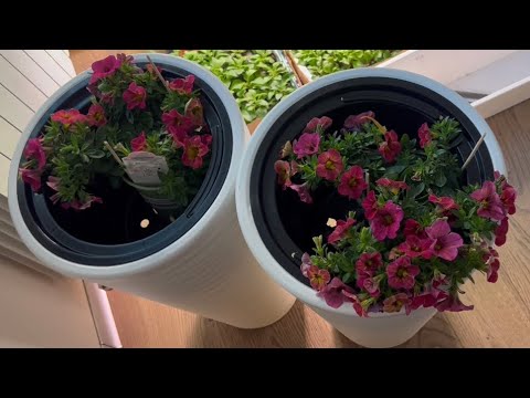 Видео: Цветочный Влог! И не только ! В этом видео , я рассказала ,  как я попалась на удочку мошенникам😭😩