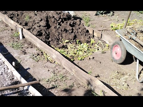 Видео: Как улучшить структуру почвы и избавиться от органического мусора на участке!!!