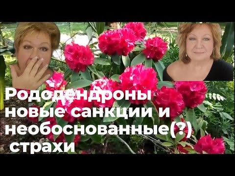 Видео: ВОЗЬМЕМСЯ ЗА РУКИ,  ДРУЗЬЯ...САНКЦИИ...ВСЁ НОВОЕ - ЭТО ХОРОШО ЗАБЫТОЕ СТАРОЕ...УВЫ