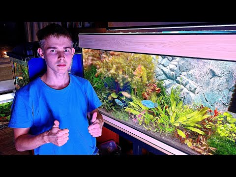 Видео: Запуск аквариума травника с рыбками 200 литров