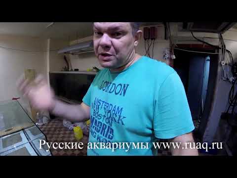 Видео: Аквариум 1000л на просроченном герметике