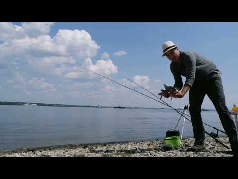 Видео: Высиживаем леща, про трипод Kaida и как она хороша Sphere 14-100 🤘