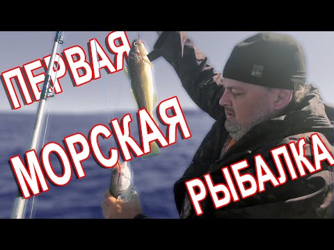 Видео: БЛУДНЫЙ КОТ -  Териберка, Баренцево море, Рыбалка!