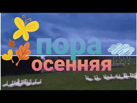 Видео: ЖИВУ В ГЕРМАНИИ ❤ ОСЕНЬ 🍂 УВЛЕЧЕНИЕ YouTube  ПРОТИВ МЕЛАНХОЛИИ 