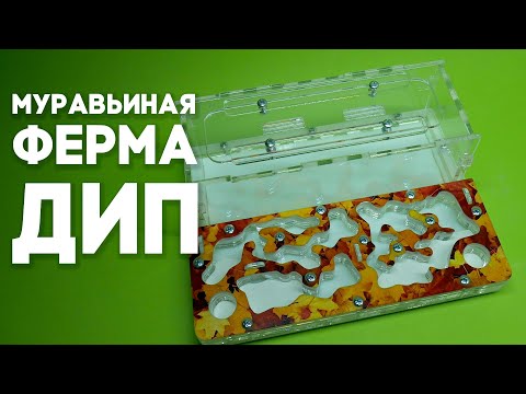Видео: ОБЗОР НОВЫХ ФОРМИКАРИЕВ ДИП 3.0! НОВАЯ ЛИНЕЙКА МУРАВЬИНЫХ ФЕРМ ОТ ДИМОНА И ПУМБЫ \\ РАСПАКОВКА