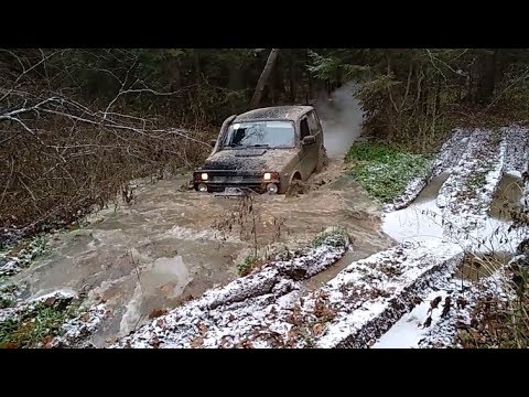 Видео: Нивы и УАЗ Патриот в грязи
