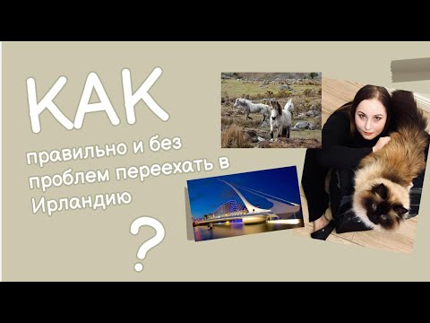 Видео: Как подготовиться к переезду в другую страну? (особенно в Ирландию и другие страны ЕС)