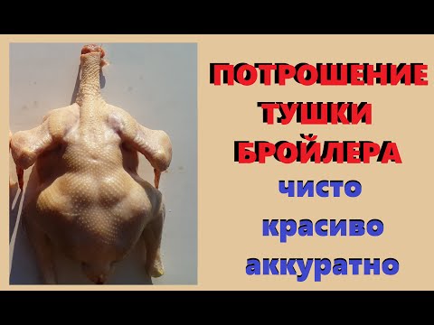 Видео: Потрошение бройлера. Приучаем ручки к правильному потрошению))