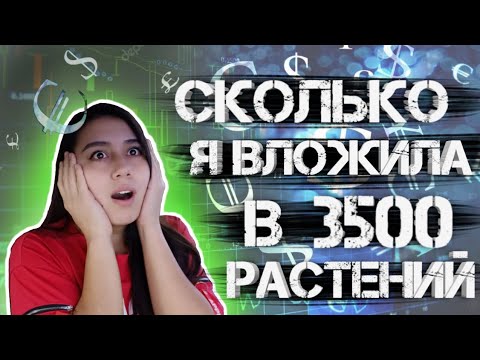 Видео: сколько я ВЛОЖИЛА в 3500 РАСТЕНИЙ? Торговля рассадой на рынке.