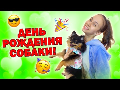 Видео: ОТМЕЧАЕМ Самый РЖАЧНЫЙ День Рождения😃👉 Эльвире 1 ГОД