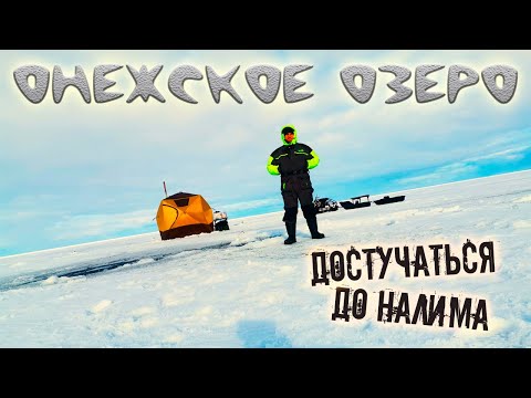 Видео: НАЛИМ НА СТУК ! ОНЕЖСКОЕ ОЗЕРО