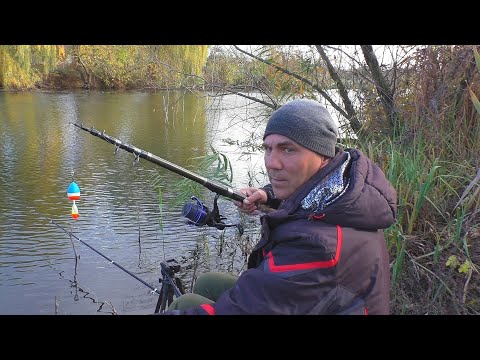 Видео: Рыбалка в ноябре на речного карася
