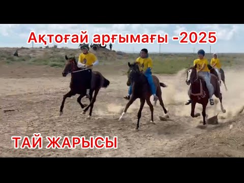 Видео: Береке, Талхиз, Ер Тұран, Легенда, Қасуа, Айтұяқ, Зульфикар