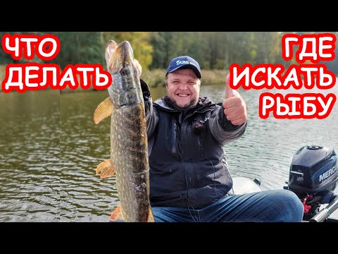 Видео: ГДЕ ИСКАТЬ РЫБУ НА НЕИЗВЕСТНОМ ВОДОЁМЕ. ЛОВЛЯ ЩУКИ ОСЕНЬЮ. ПРИМАНКИ И ПРОВОДКИ НА ЩУКУ