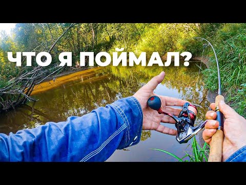 Видео: ПОЙМАЛ на форелевой РЕЧКЕ!? Ловля ручьевой форели. Рыбалка в Ленинградской области.
