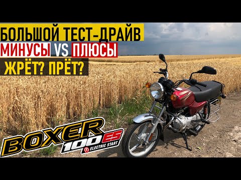 Видео: BAJAJ BOXER 100 — БОЛЬШОЙ ТЕСТ-ДРАЙВ, ОПЫТ ВЛАДЕНИЯ, ОТЗЫВ / ГЛАВНЫЙ КОНКУРЕНТ АЛЬФЕ?