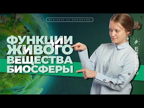 Видео: Все функции живого вещества биосферы на ЕГЭ по биологии 2022 с примерами