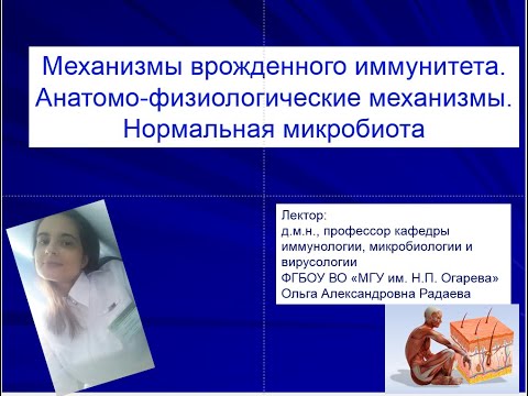 Видео: Нормальная микробиота и иммунитет