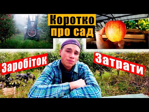 Видео: Збірка ЯБЛУК в САДУ 2022🔥Проблеми, заробіток, затрати👌😉