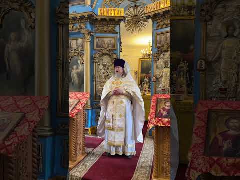 Видео: Проповедь на притчу о сеятеля.