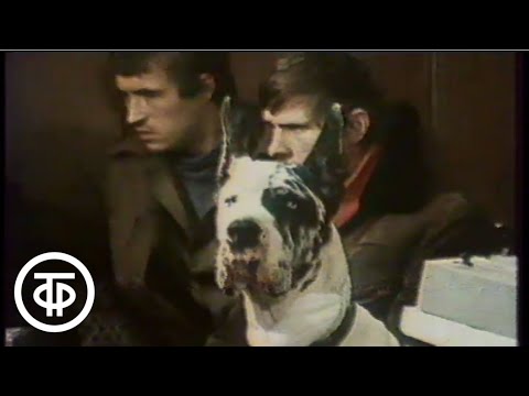 Видео: Промедление (1989). Землетрясение в Армении 7 декабря 1988 года