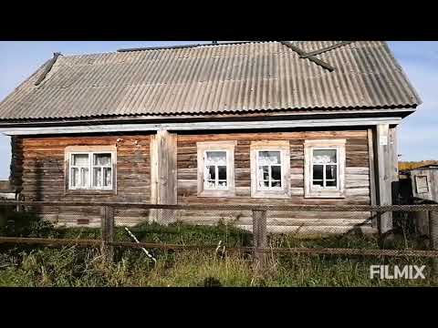 Видео: д. Киргап Омская область