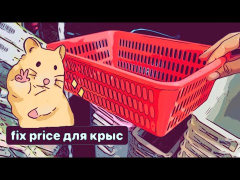 Видео: Покупки из Fix Price для крыс 🐀