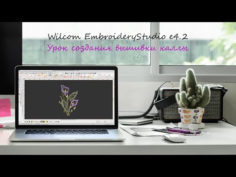 Видео: Каллы