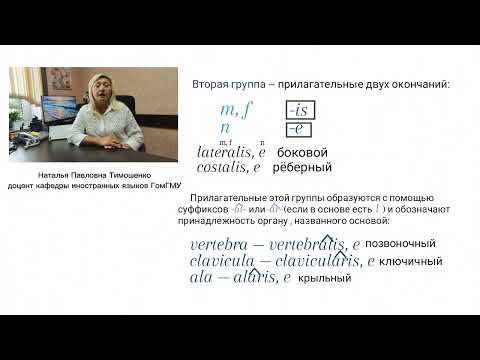 Видео: Тимошенко Н.П. Латинский язык. Имя прилагательное