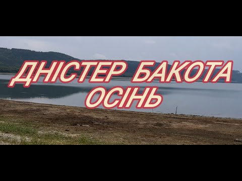 Видео: Дністер Бакота осінь 2022