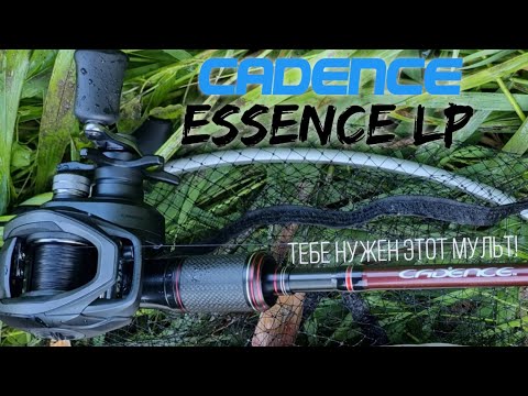 Видео: Мультипликатор для новичка Cadence Essense LP. Первый раз с кастингом.