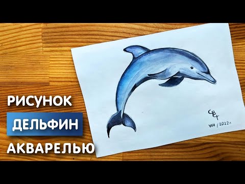 Видео: Как нарисовать дельфина карандашом и акварелью начинающим | Рисунок поэтапно и легко для детей