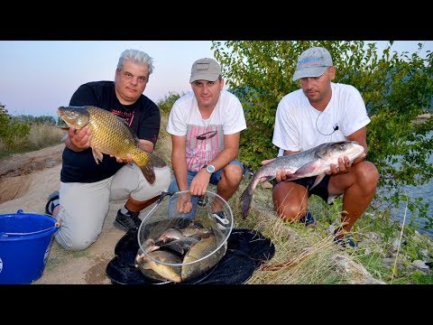 Видео: За едри риби на Тополово - част 2 / Carp and carassius pole & match fishing - part 2