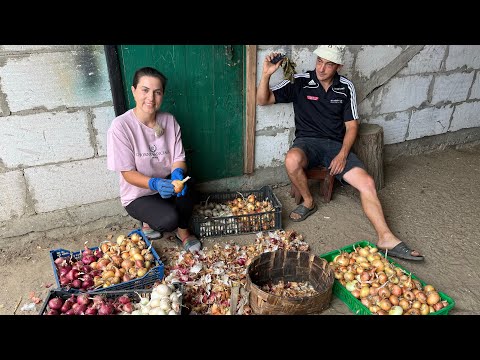 Видео: Зберігання цибулі на зиму! Бички, свині, ремонт💥💥💥