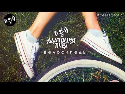 Видео: Велосипеды - Адаптация Пчёл | Beesadaptic