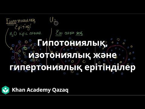 Видео: Гипотониялық, изотониялық және гипертониялық ерітінділер | Қазақ Хан Академия