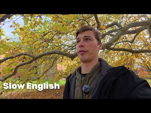 Видео: Slow English: книжный квест. Аудирование. Средний уровень.