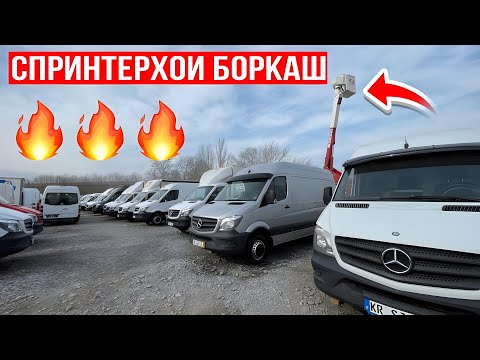 Видео: Спринтерхои боркаш Харидоро Хастми?
