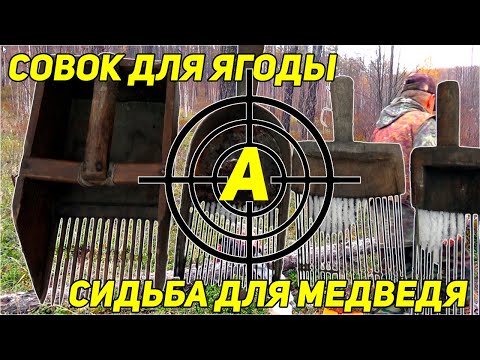 Видео: ЯГОДА НАКОРМИТ И ОДЕНЕТ. ЗАСИДКА НА МЕДВЕДЯ