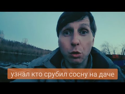 Видео: Я узнал кто срубил мою сосну на даче!!!