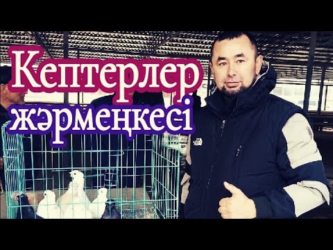 Видео: Кептерлер жәрмеңкесі.Түркістан қаласы. Құс базар. Көгершіндер 2021 ж.