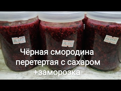 Видео: Чёрная смородина на зиму. БЕЗ ВАРКИ! Перетертая с сахаром. Заморозка чёрной смородины.