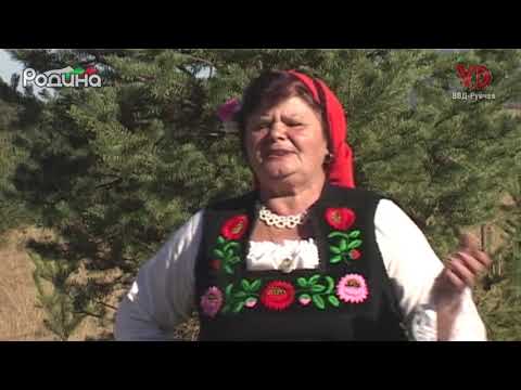 Видео: "Ангелино, малай моме" - Фолклорна формация "Росна китка" с. Говедарци