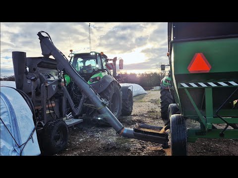 Видео: Перемалываем 5200 бушелей кукурузы в 1 огромный мешок!!!